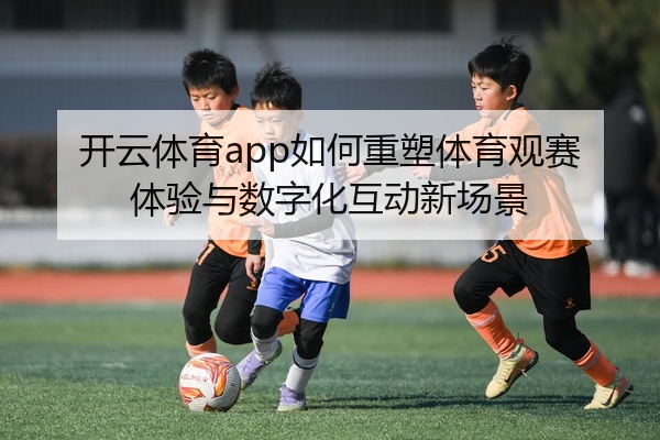 img_1777453699455_145_1_781.jpg